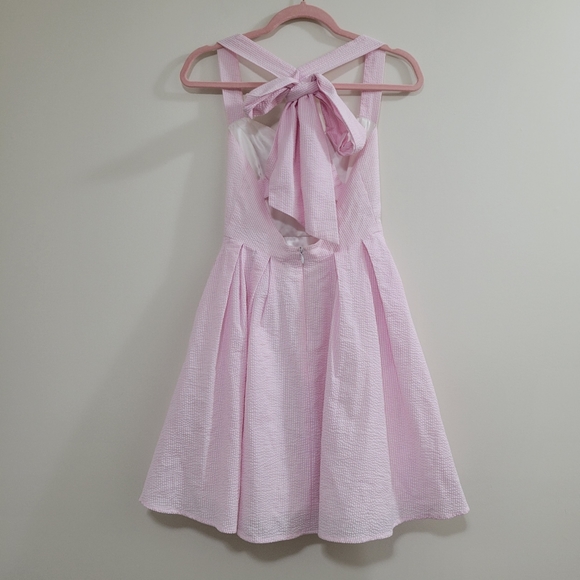 Lauren James Livingston ss dress pink white strip xs nwt - Picture 2 of 6